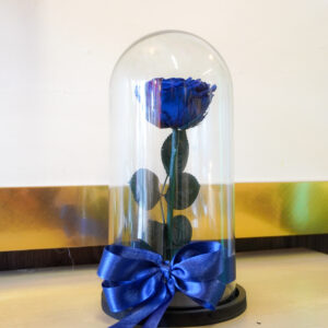 ROSA ETERNA AZUL