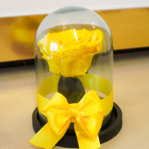 DSC00631 ROSA ETERNA AMARILLA PEQUEÑA