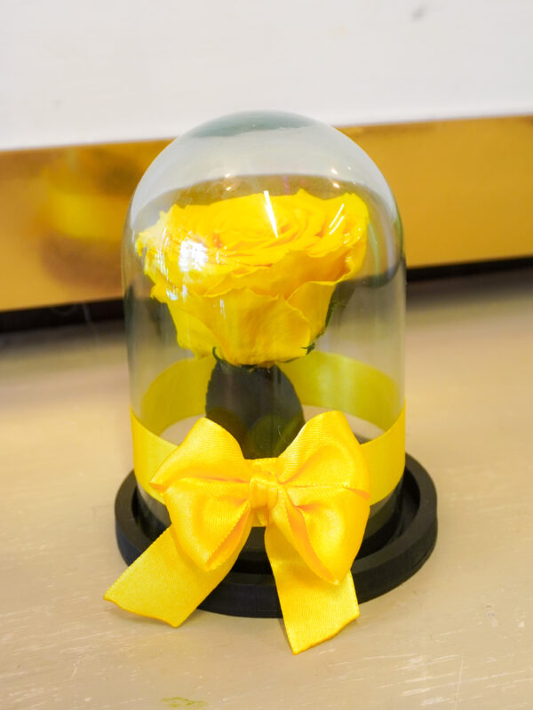 ROSA ETERNA AMARILLA PEQUEÑA